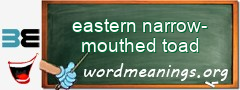 WordMeaning blackboard for eastern narrow-mouthed toad